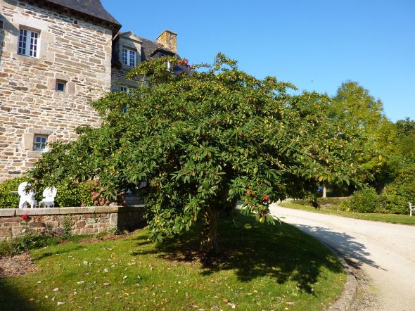 Vente Château Saint-Brieuc 20&nbsp;Pièces 785&nbsp;m²