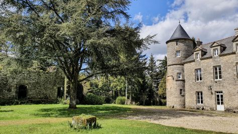 Vente Château Elven 17&nbsp;Pièces 400&nbsp;m²