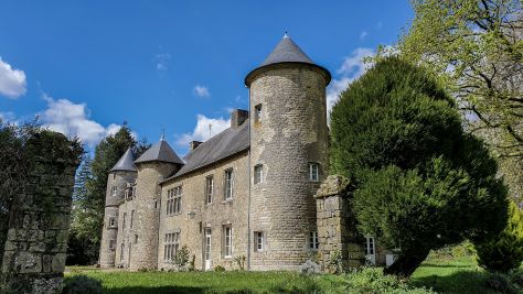 Vente Château Elven 17&nbsp;Pièces 400&nbsp;m²