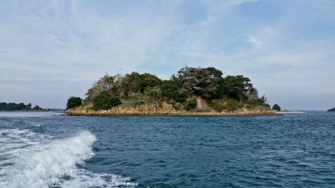 Sale Private island Sarzeau 1.5&nbsp;ha