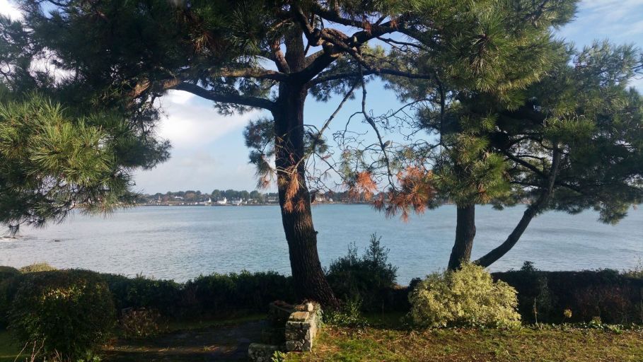 house 10 Rooms for sale on LA TRINITE SUR MER (56470)
