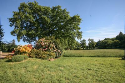Sale Thatched cottage Pluvigner 9&nbsp;Rooms 245&nbsp;m²