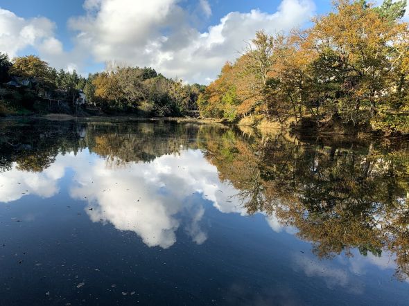 Sale Architect's house Arradon 6 Rooms 160 m²