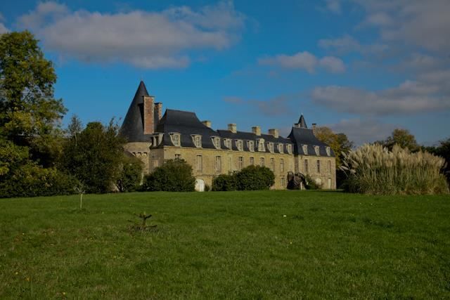 castle 30 Rooms for sale on NEANT SUR YVEL (56430)