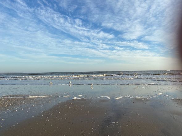 Sale House La Baule 12 Rooms 550 m²