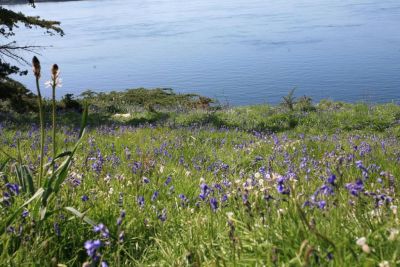 Sale Mansion Sarzeau 9 Rooms 250 m²