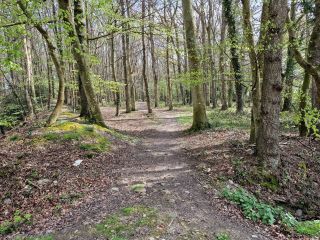 propriété équestre 7 Pièces en vente sur LANDEHEN (22400)