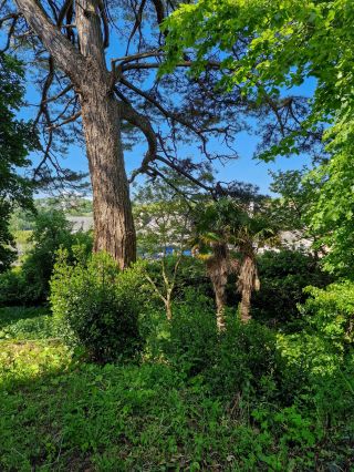 maison de maître 18 Pièces en vente sur LANNION (22300)