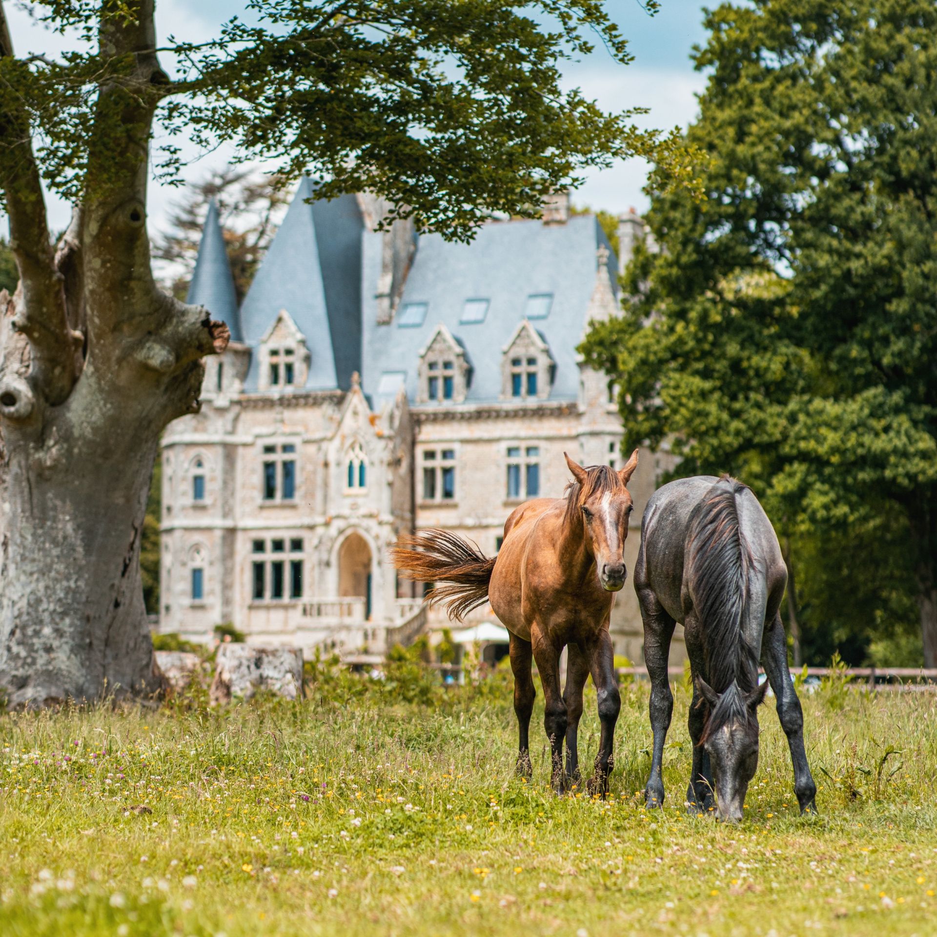 château 19 Pièces en location saisonnière sur PLAUDREN (56420)
