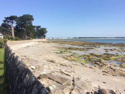 Sale Property Loctudy 7&nbsp;Rooms 244&nbsp;m²