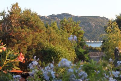 Rental House Porto-Vecchio 4 Rooms 50 m²