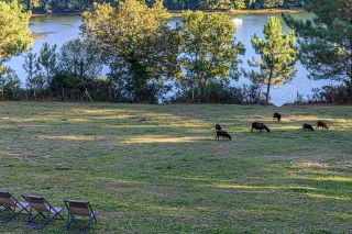 maison 8 Pièces en location saisonnière sur GOUESNACH (29950)