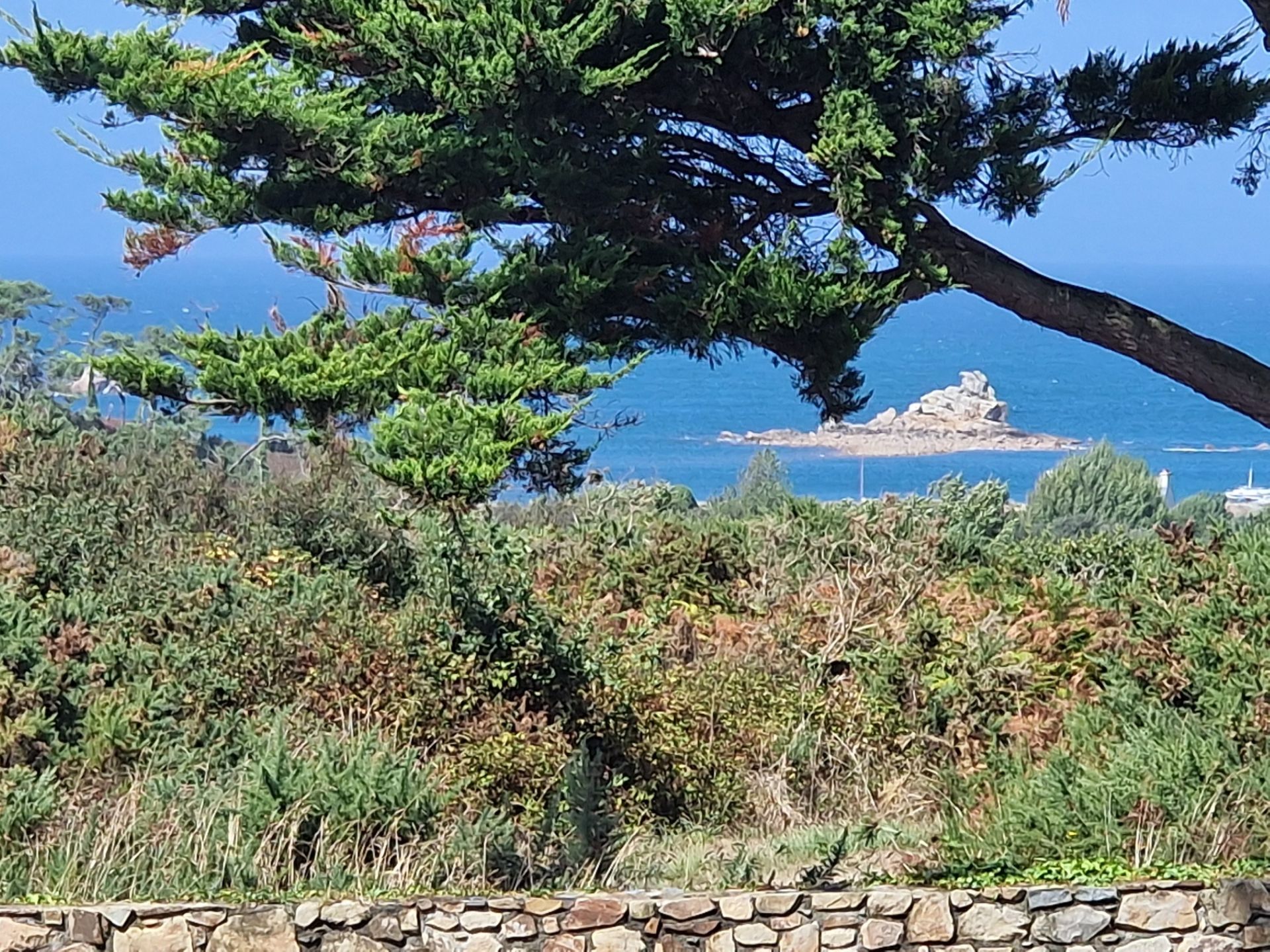 maison 15 Pièces en vente sur PLOUGRESCANT (22820)