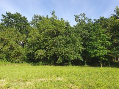 Sale Land Larmor-Baden 2725&nbsp;m²
