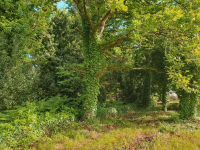 Sale Land Larmor-Baden 2725&nbsp;m²
