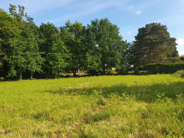 Sale Land Larmor-Baden 2725&nbsp;m²