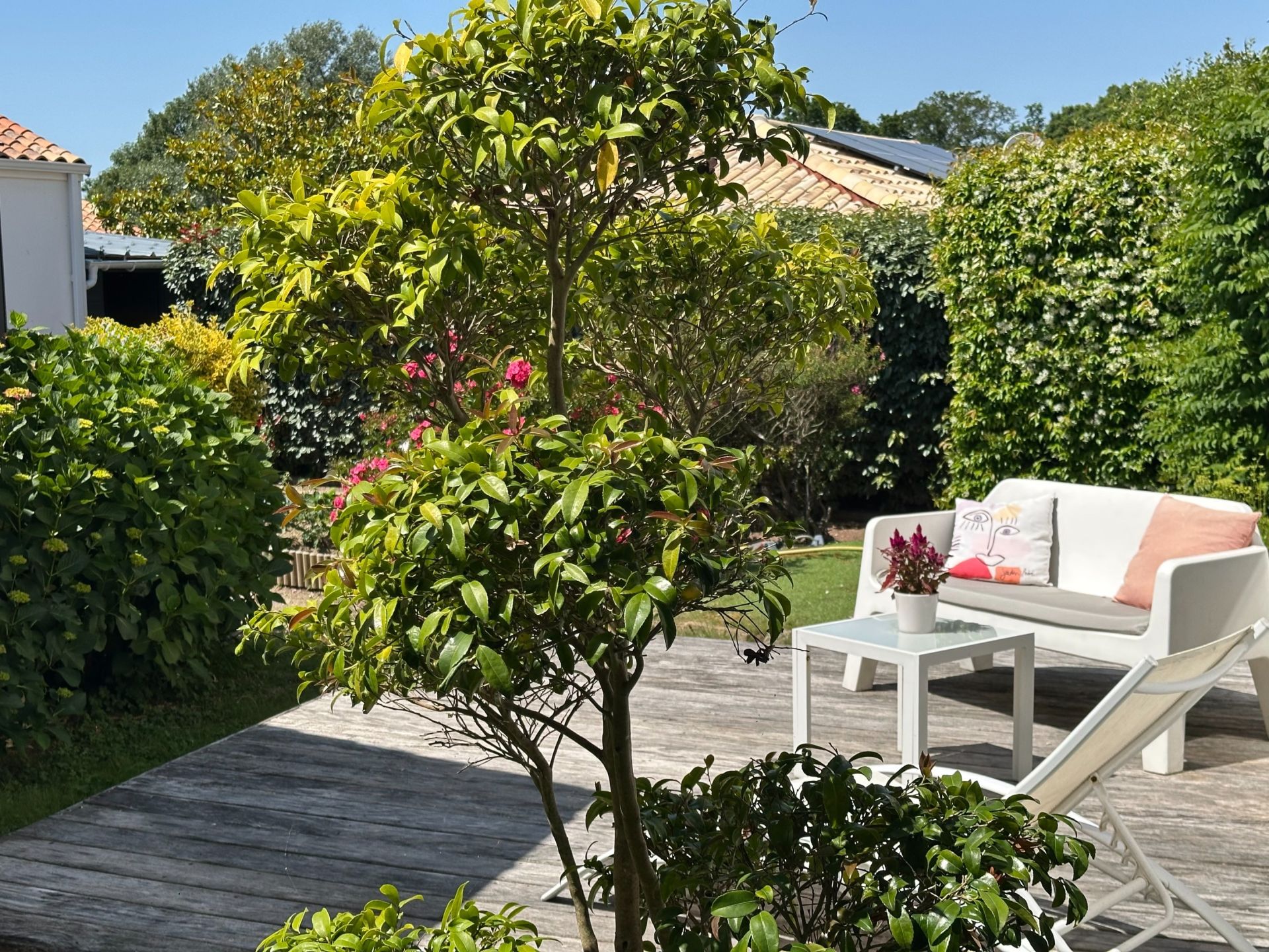 maison 7 Pièces en vente sur PORNIC (44210)