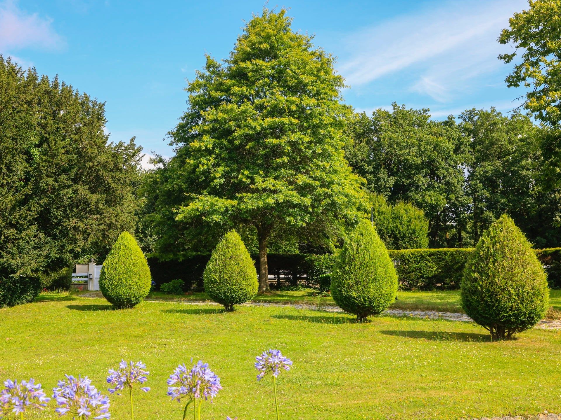 maison 10 Pièces en vente sur DIRINON (29460)