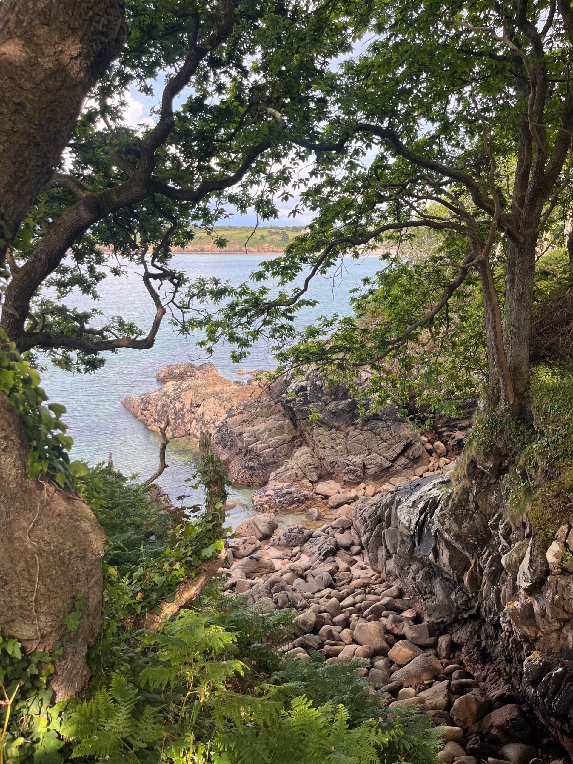 castle 15 Rooms for sale on DOUARNENEZ (29100)
