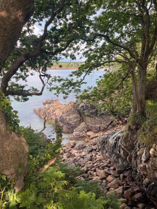 castle 15 Rooms for sale on DOUARNENEZ (29100)