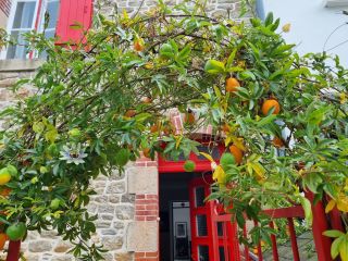 maison 4 Pièces en vente sur ILE AUX MOINES (56780)