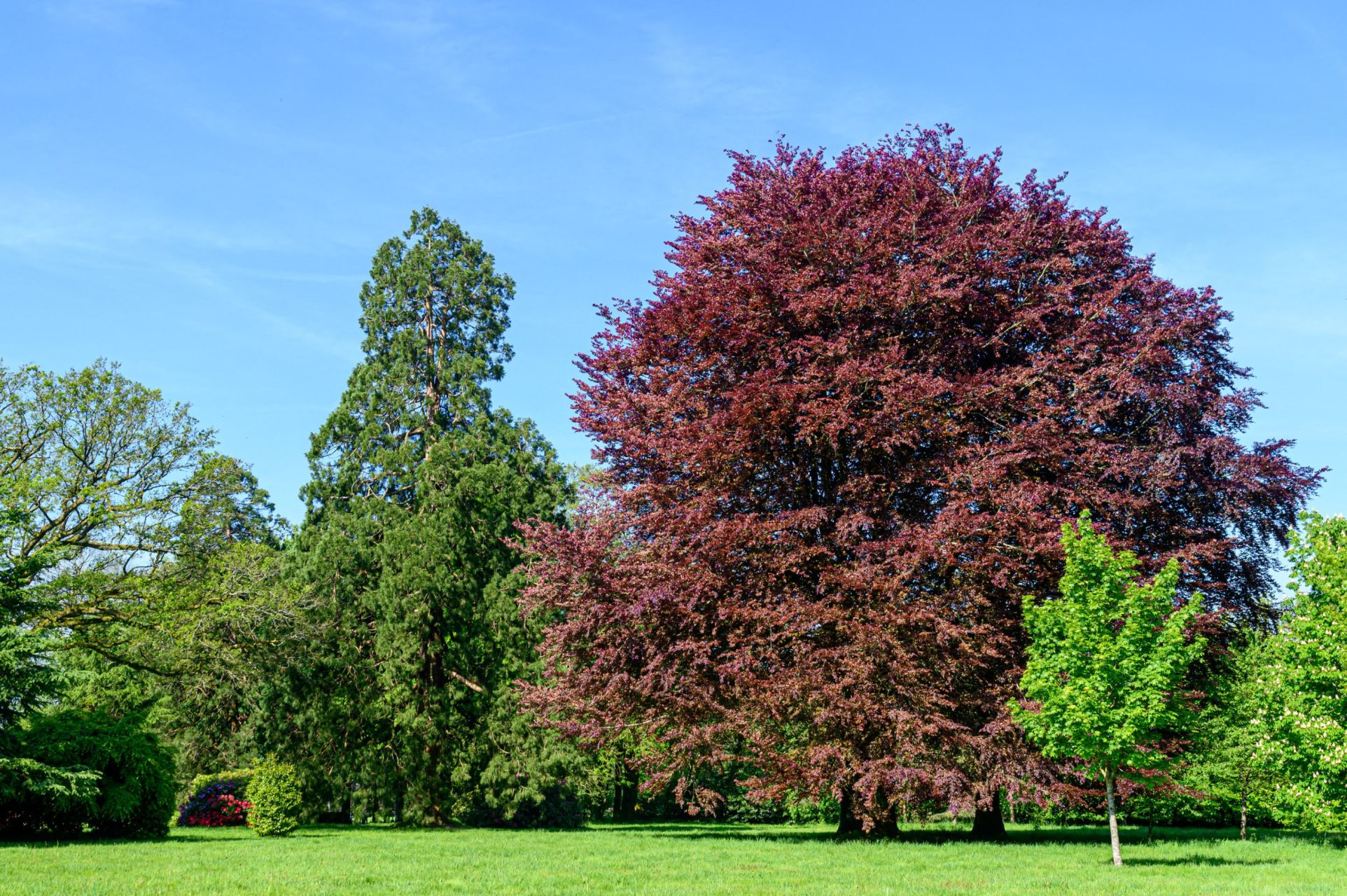 manoir 14 Pièces en vente sur VANNES (56000)