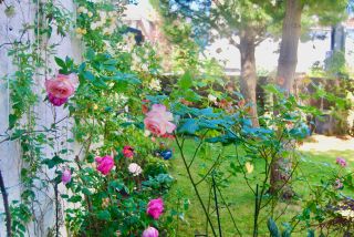 maison 8 Pièces en vente sur LA BAULE (44500)