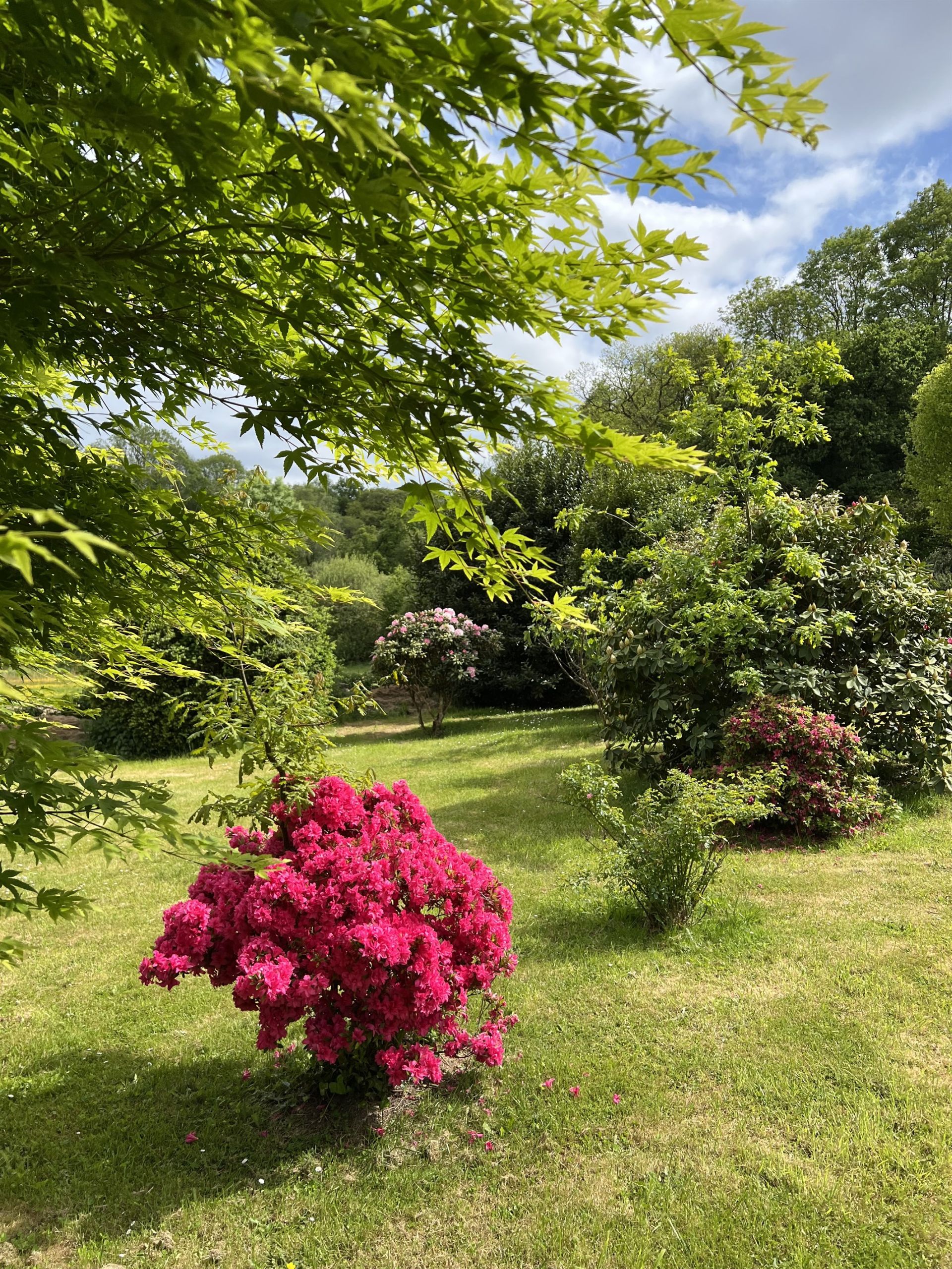 propriété 7 Pièces en vente sur QUIMPER (29000)