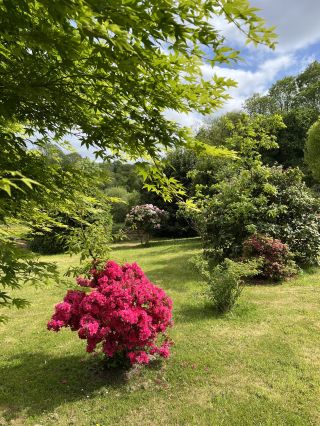 propriété 7 Pièces en vente sur QUIMPER (29000)