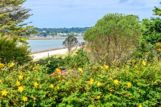 propriété 8 Pièces en vente sur LA FORET FOUESNANT (29940)