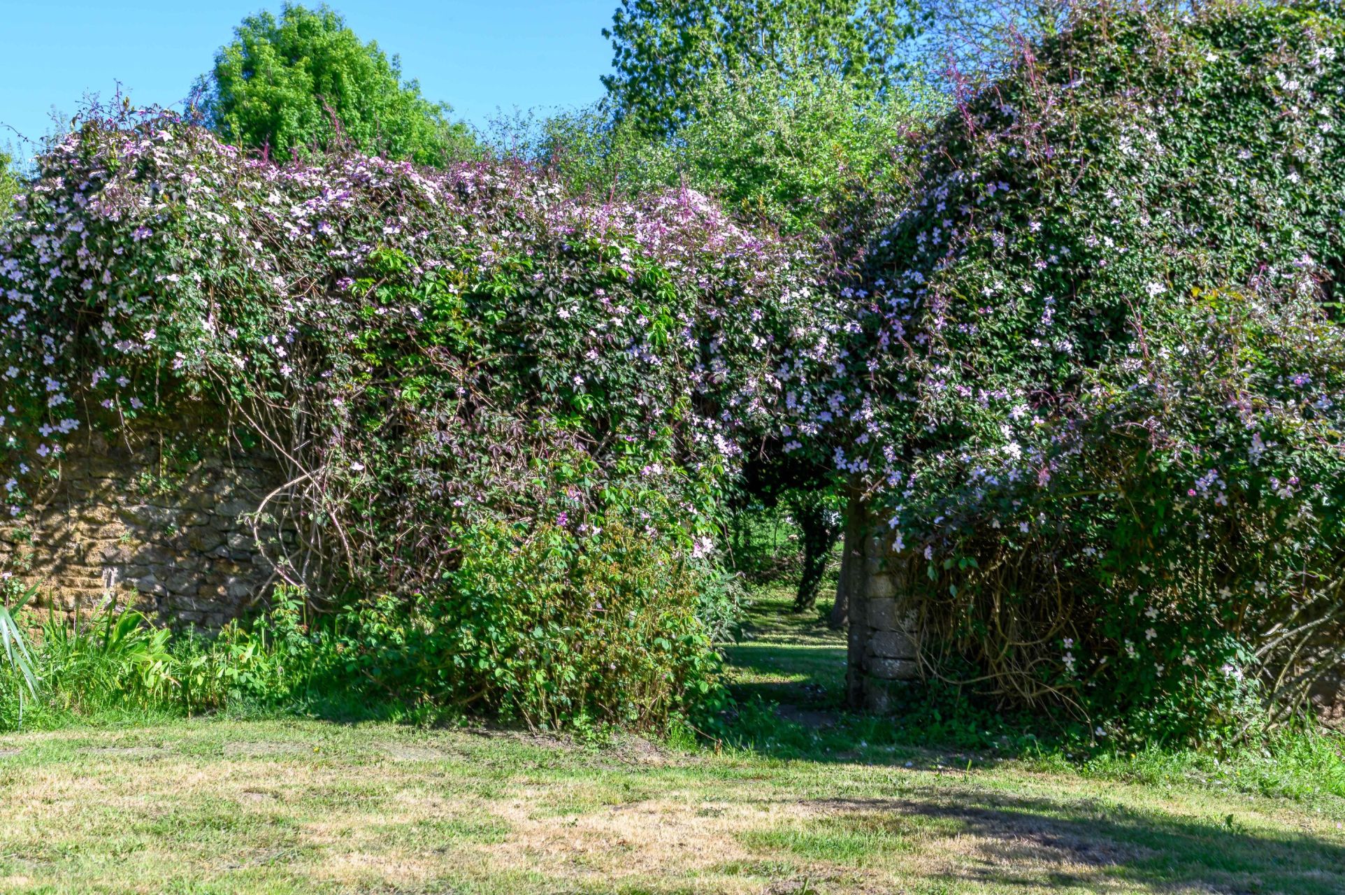 manoir 9 Pièces en vente sur TREFFLEAN (56250)