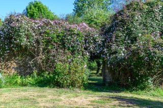 manoir 9 Pièces en vente sur TREFFLEAN (56250)