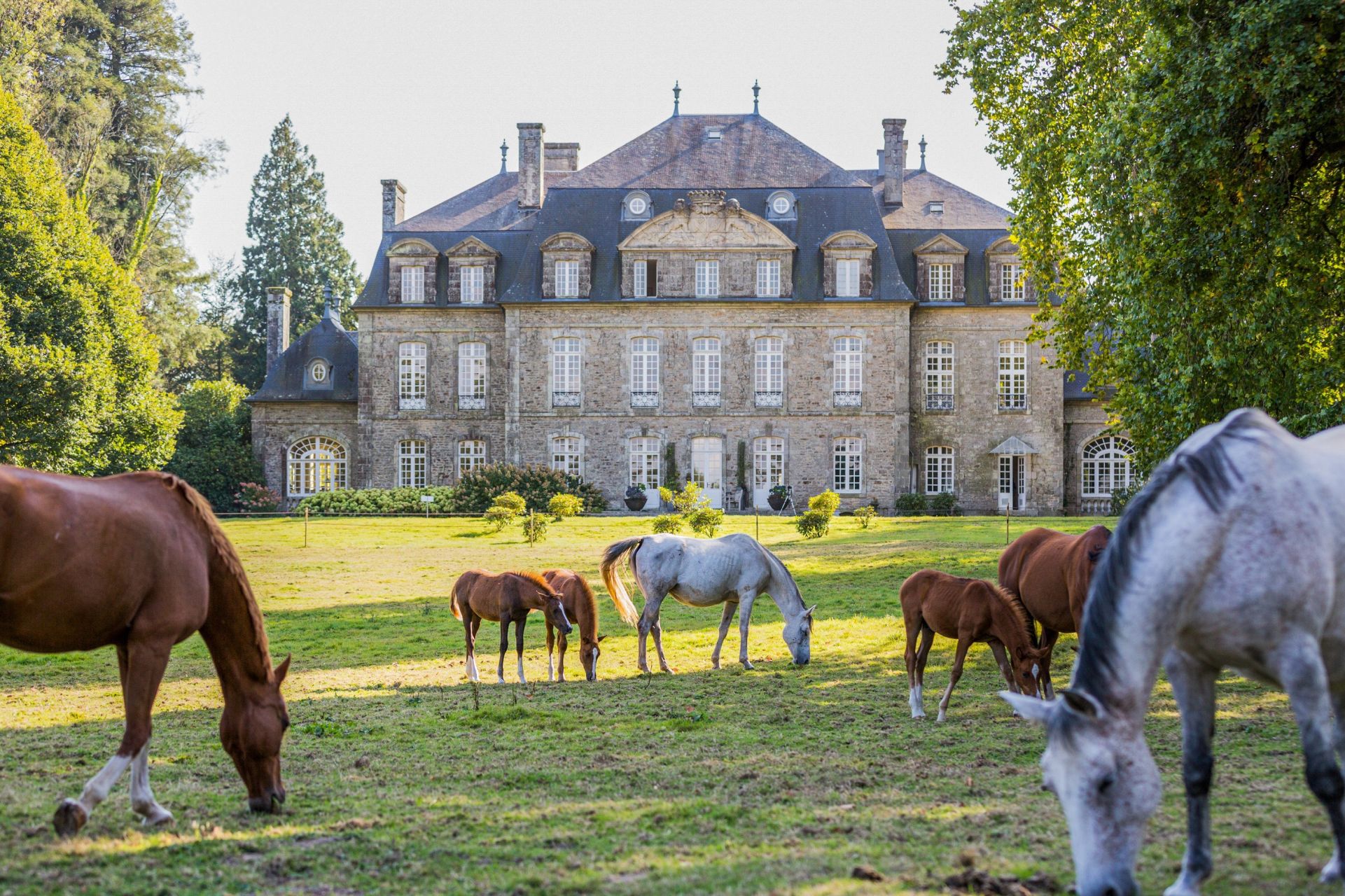 château 28 Pièces en vente sur GUEMENE SUR SCORFF (56160)
