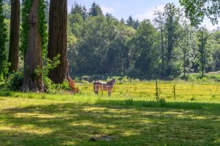 château 28 Pièces en vente sur GUEMENE SUR SCORFF (56160)