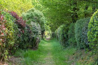 villa 7 Pièces en location saisonnière sur SARZEAU (56370)