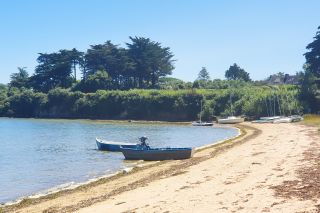 maison 12 Pièces en vente sur ARZON (56640)