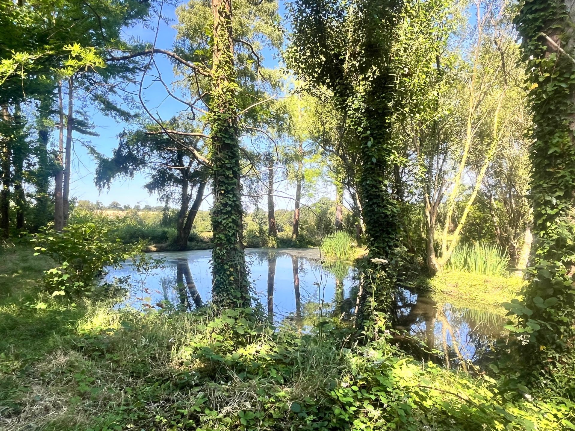 maison 20 Pièces en vente sur PLOMODIERN (29550)