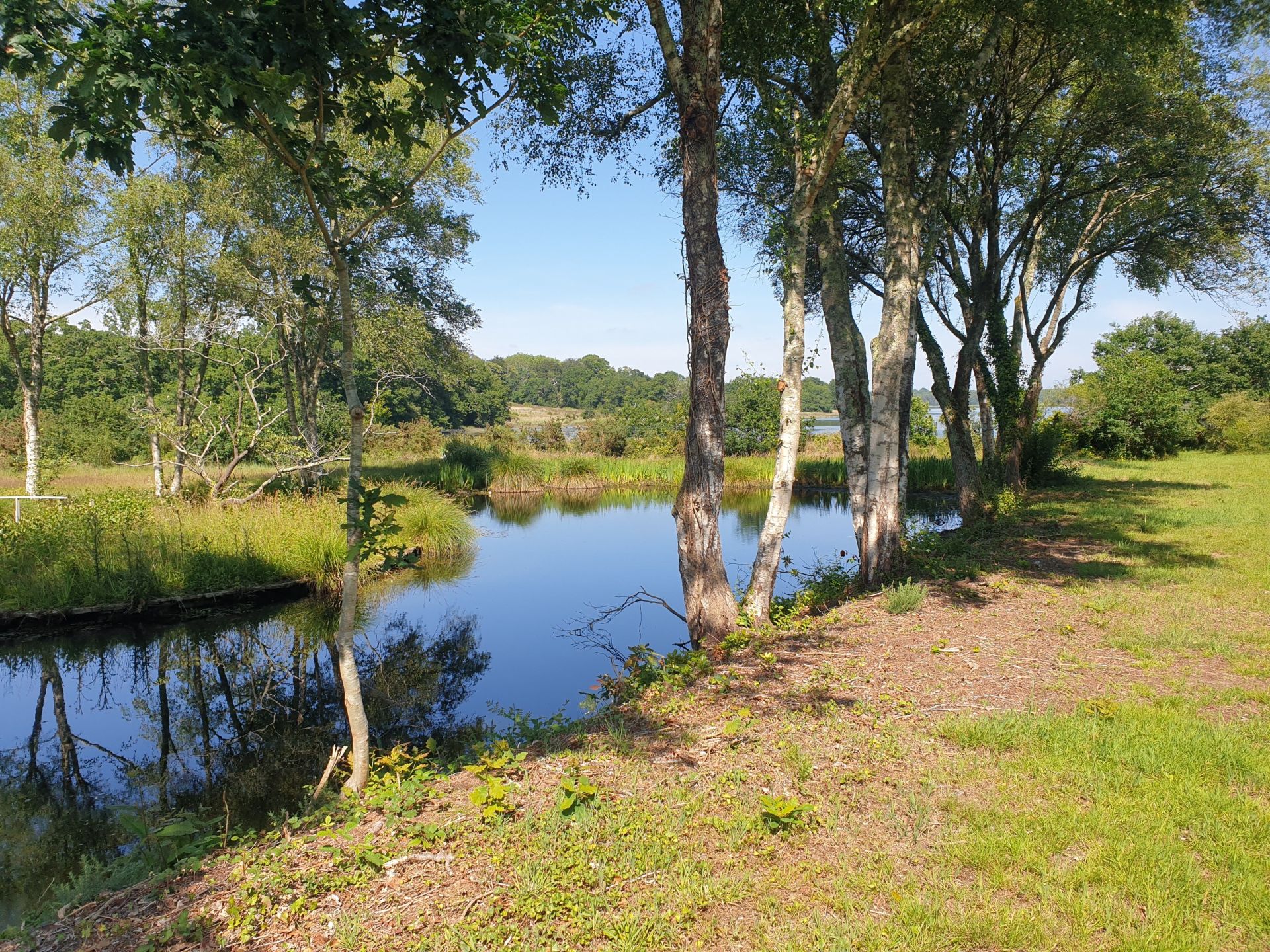 maison 10 Pièces en vente sur PLOMELIN (29700)