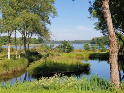 Vente Maison Plomelin 10 Pièces 150 m²