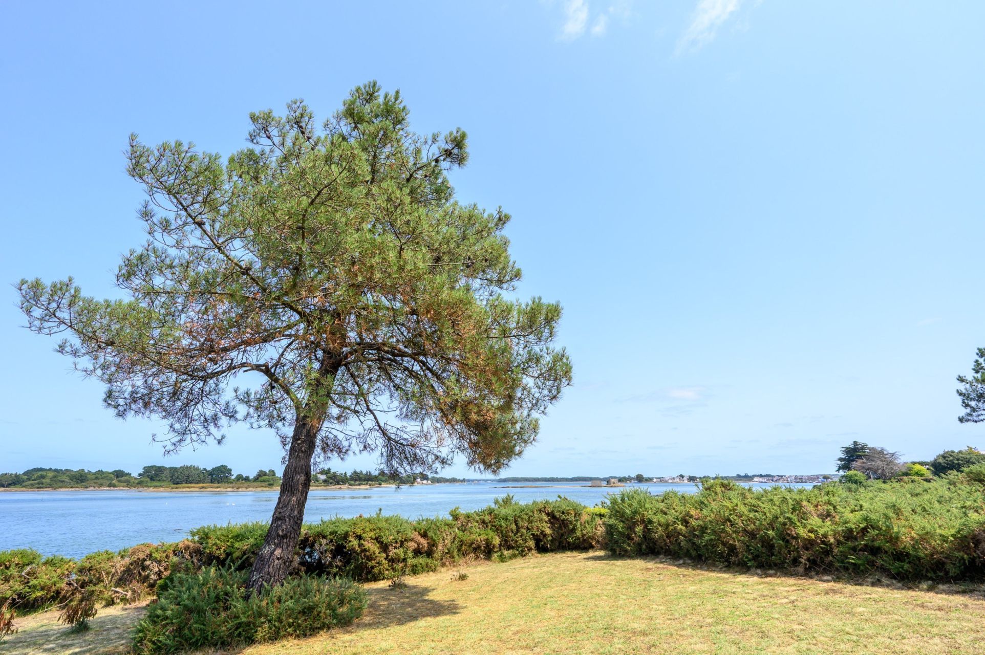 maison 9 Pièces en vente sur PLOUHINEC (56680)
