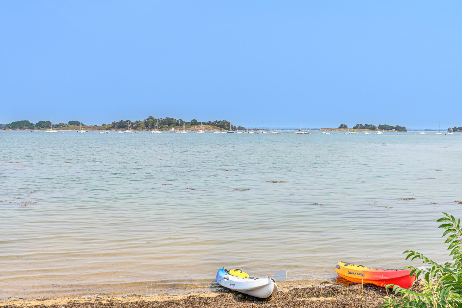 maison 6 Pièces en vente sur ARZON (56640)