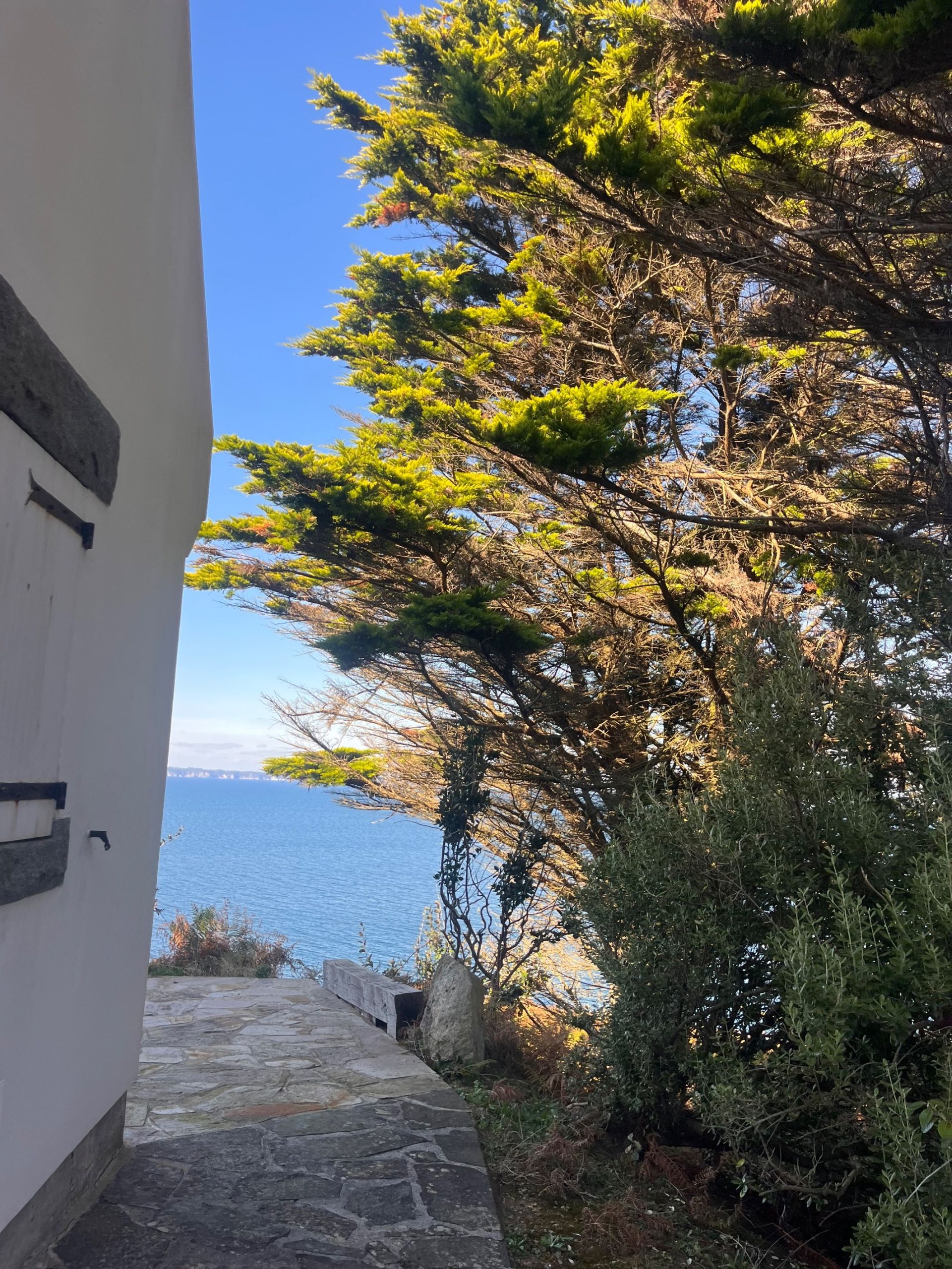 house 8 Rooms for sale on POULLAN SUR MER (29100)