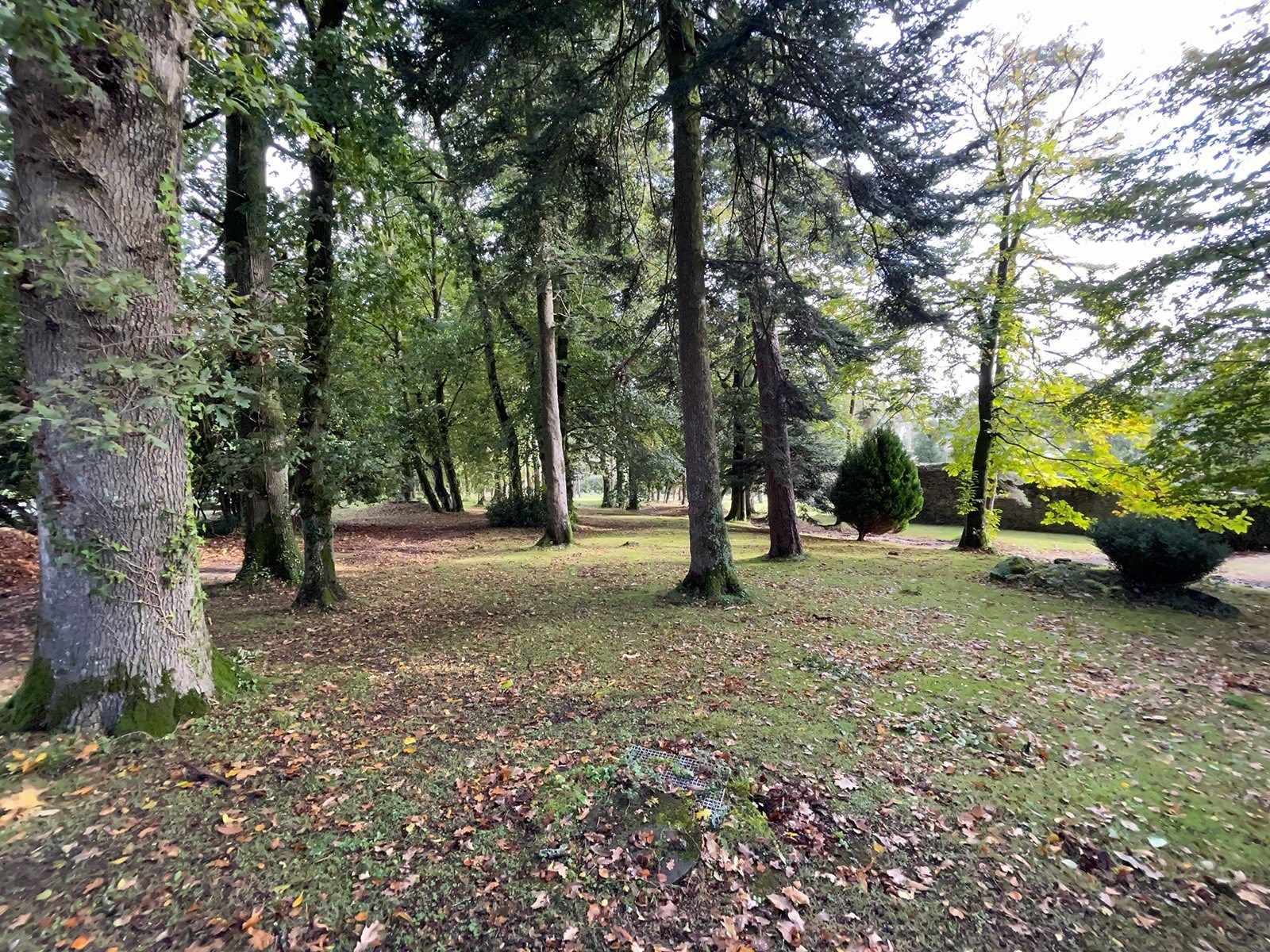 manoir 12 Pièces en vente sur LANDERNEAU (29800)