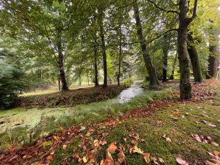 manoir 12 Pièces en vente sur LANDERNEAU (29800)