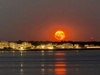 maison 7 Pièces en vente sur LA BAULE (44500)