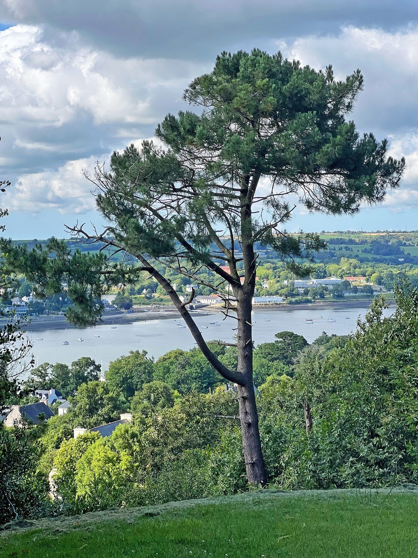 maison 10 Pièces en vente sur PLOUGASTEL DAOULAS (29470)