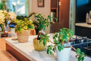 maison 9 Pièces en vente sur GUERANDE (44350)