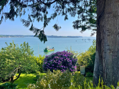 Vente Maison Baden 7&nbsp;Pièces 220&nbsp;m²