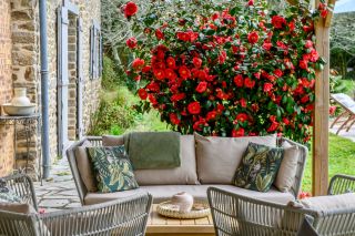 house 8 Rooms for sale on MISSILLAC (44780)