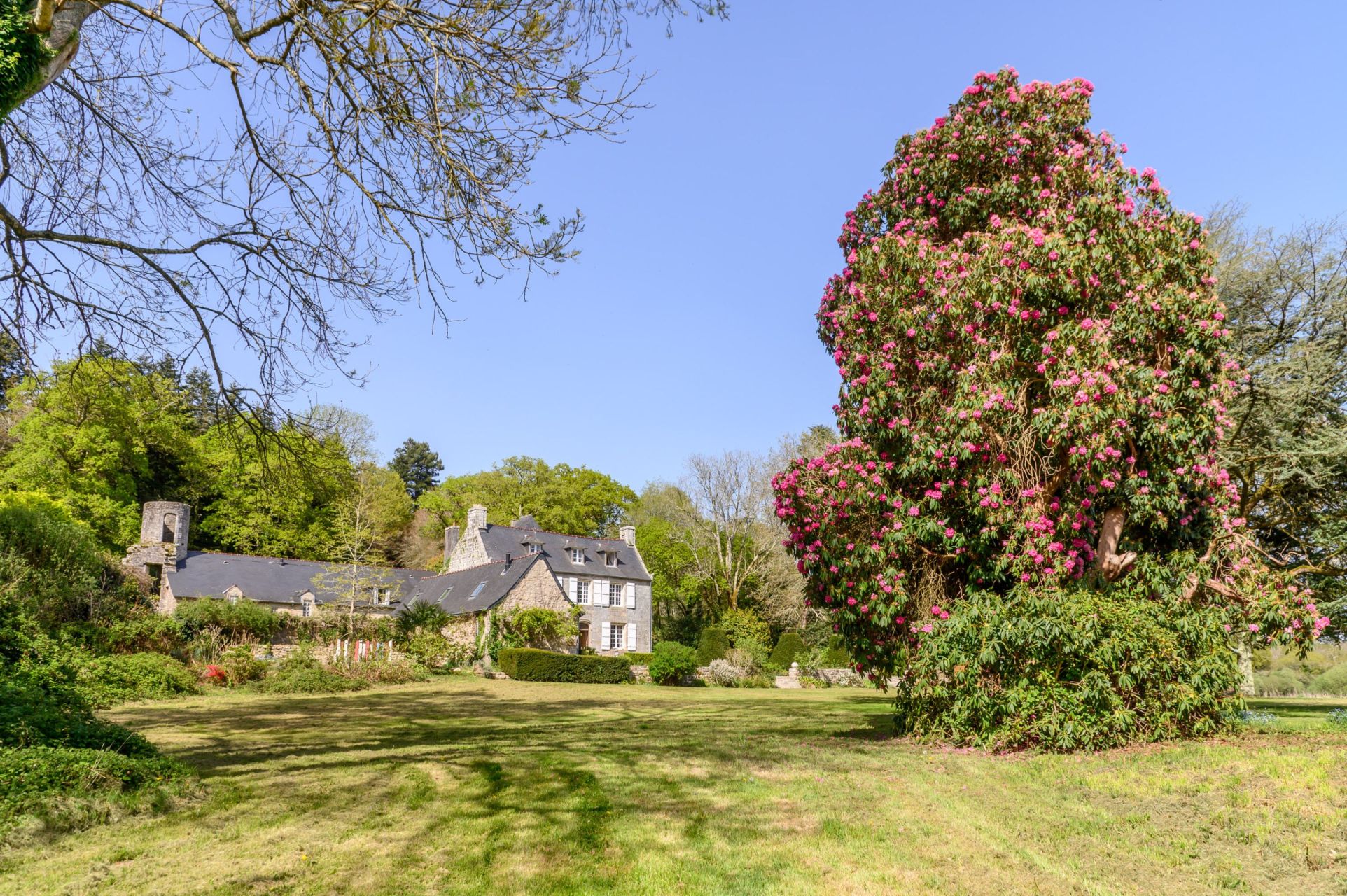 propriété 20 Pièces en vente sur QUIMPER (29000)